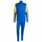Team Royal Blue/Yellow