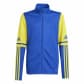Team Royal Blue/Team Yellow