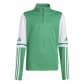 Team Green/White