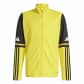 Team Yellow/Black/White