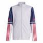 Glory Grey/Team Navy Blue2/Ruby