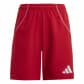 Team Power Red 2/Light Grey
