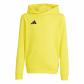 adidas Kinder Kapuzenpullover Entrada 26 Hoody Y 