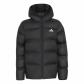 Black/Reflective Silver