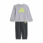 Lgh Solid Grey/Frozen Lemon