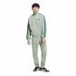 Silver Green/Collegiate Green