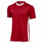 Nike Herren Trikot Dri-FIT Challenge Jersey V FD7412 