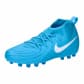 Blue Fury/White