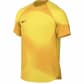 Nike Herren Torwarttrikot Dri-FIT ADV Gardien IV DH7760 