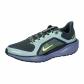 Nike Herren Laufschuhe Pegasus 41 GORE-TEX FQ1356-003 