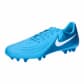 Blue Fury/White