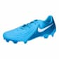 Blue Fury/White