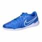 Signal Blue/White
