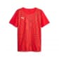Puma Herren T-Shirt individualRISE Graphic Jersey 658614-01 L Puma Red-Puma Black | L