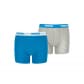 Blue/Grey