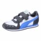 Dark Gray-Blue Skies White-Pure Green