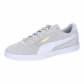Glacial Gray-White-Gold