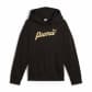 Puma Mädchen Kapuzenpullover ESS SCRIPT Metallic Hood 682780 