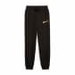 Puma Mädchen Jogginghose ESS SCRIPT Metallic Pant 682799 