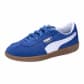 Cobalt Glaze-Puma White