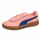 Pink Fruit-Blazing Blue-Puma Gold