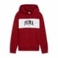 Puma Jungen Kapuzenpullover SQUAD Hoodie FL B 682775 