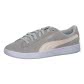 Gray Violet-Rosewater-Puma Silver