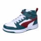 Cold Green-Alpine Snow-Red