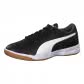 Puma Herren Hallenschuhe Tenaz 104889 