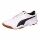 Puma Unisex Hallenschuhe Tenaz 104889 