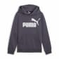 Puma Kinder Kapuzenpullover Ess Big Logo 586965 