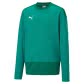 Puma Kinder Sweatshirt teamGOAL 23 Training Sweat Jr 656568 