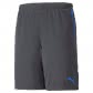 Puma Herren Shorts individualCUP Shorts 657546 