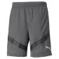 Puma Herren Shorts teamFINAL Training Shorts 657553 