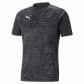Puma Herren Trikot teamCUP Training Jersey 657984 