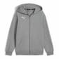 Puma Herren Kapuzenjacke teamGOAL Casuals Hooded Jacket Jr 658596 