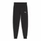 Puma Kinder Trainingshose teamGOAL Casuals Pants Jr 658601 