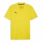 Puma Herren Poloshirt teamGOAL Casuals Polo 658605 