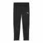 Puma Herren Trainingshose teamGOAL Training Pant 658639 
