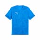 Puma Herren Trainingsshirt teamCUP Training Jersey 659167 