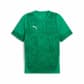 Sport Green-PUMA Silver-Power Green