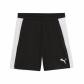 Puma Herren Trainingsshort teamFINAL26 659685 