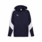 Puma Herren Sweatjacke EVOSTRIPE Hooded Jacket 659947 