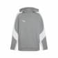 Puma Herren Kapuzenpullover teamEVOSTRIPE Hoody 659954 