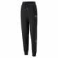 Puma Dmaen Trainingshose POWER NOVA SHINE Colorblock High-Waist TR 674447 