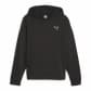 Puma Damen Kapuzenpullover BETTER ESSENTIALS Hoodie TR 675988 