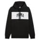 Puma Herren Kapuzenpullover PUMA SQUAD Hoodie FL 681796 