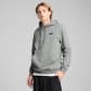 Puma Herren Kapuzenpullover ESS Small No.1 Logo Hoodie FL 682574 