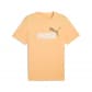 Almost Apricot