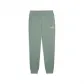 Puma Herren Trainingshose ESS 2 COLOR No.1 Log Swtpants TR cl 684714 